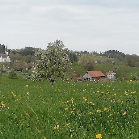 Apartamento Billenberghof St. Gallen Exterior foto
